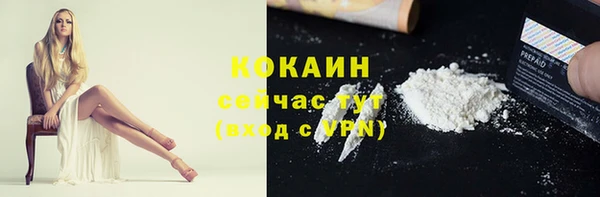 дживик Белокуриха