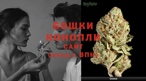 дживик Белокуриха