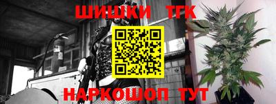 крисы Лесосибирск