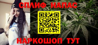 крисы Лесосибирск