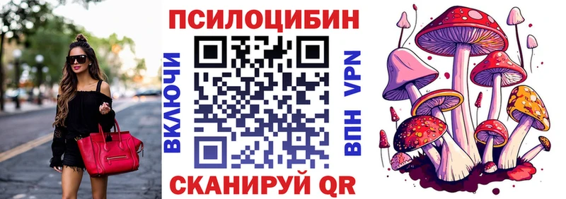 наркотики  Буйнакск  Псилоцибиновые грибы Magic Shrooms 