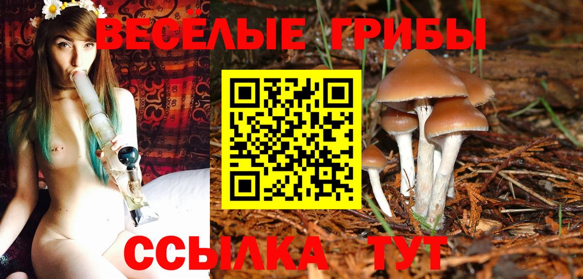 Буйнакск  Псилоцибиновые грибы Psilocybe  Галлюциногенные грибы ЛСД  Вход с VPN 